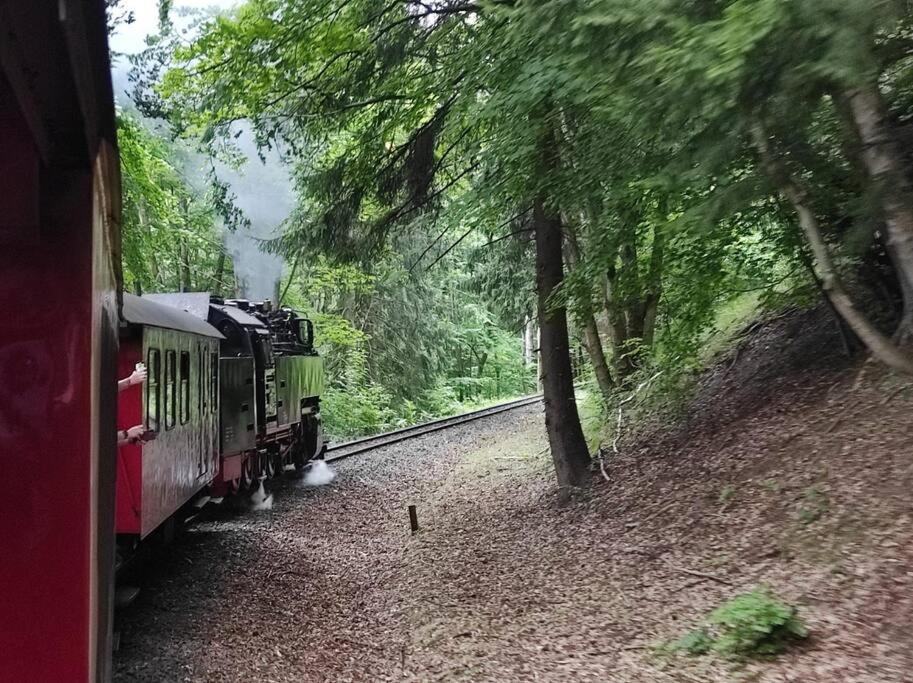 Hoher Weg - Urlaub, Wandern, Downhill Und Workation Am Nationalpark Harz