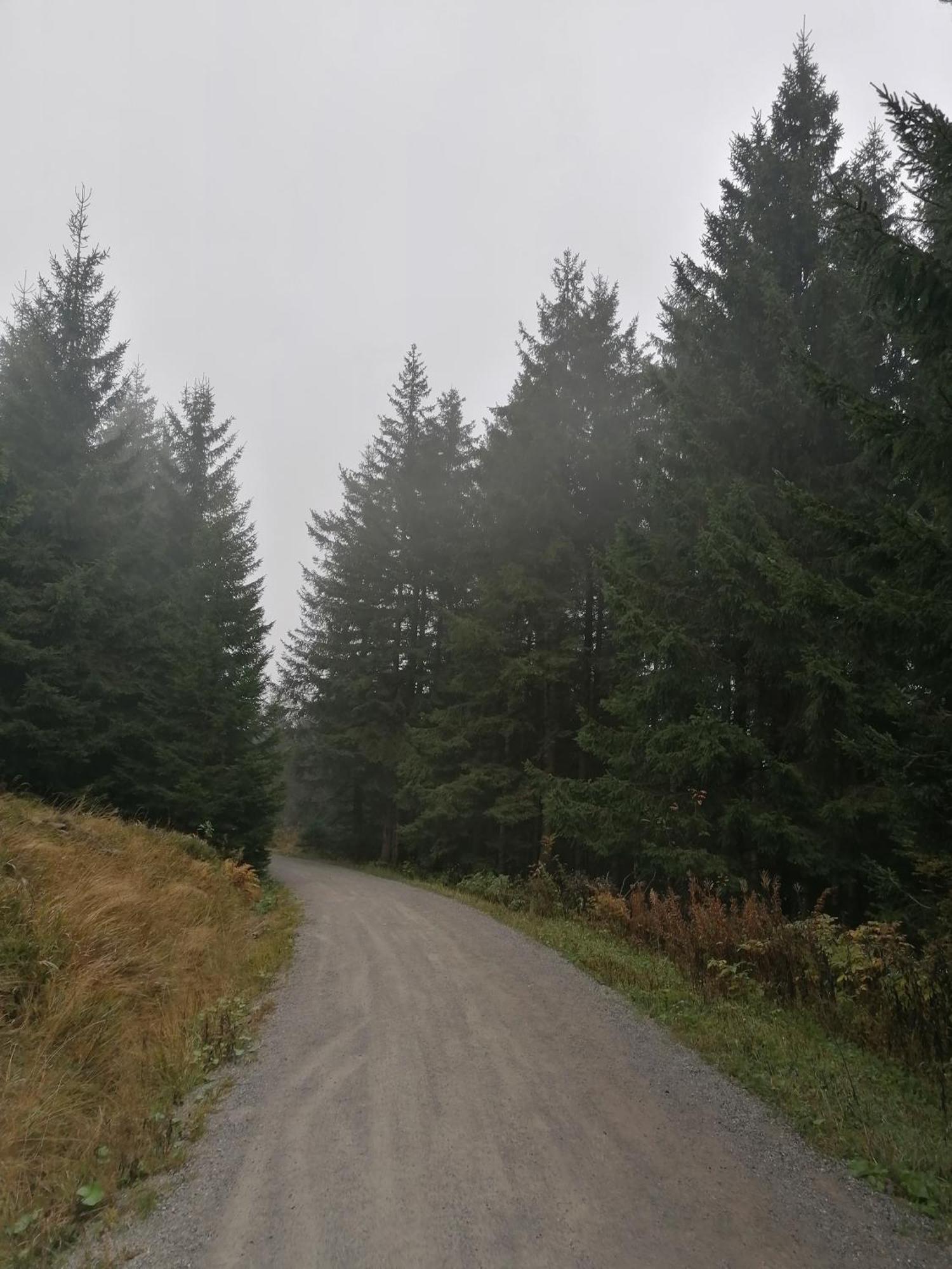 Hoher Weg - Urlaub, Wandern, Downhill Und Workation Am Nationalpark Harz * Sankt Andreasberg