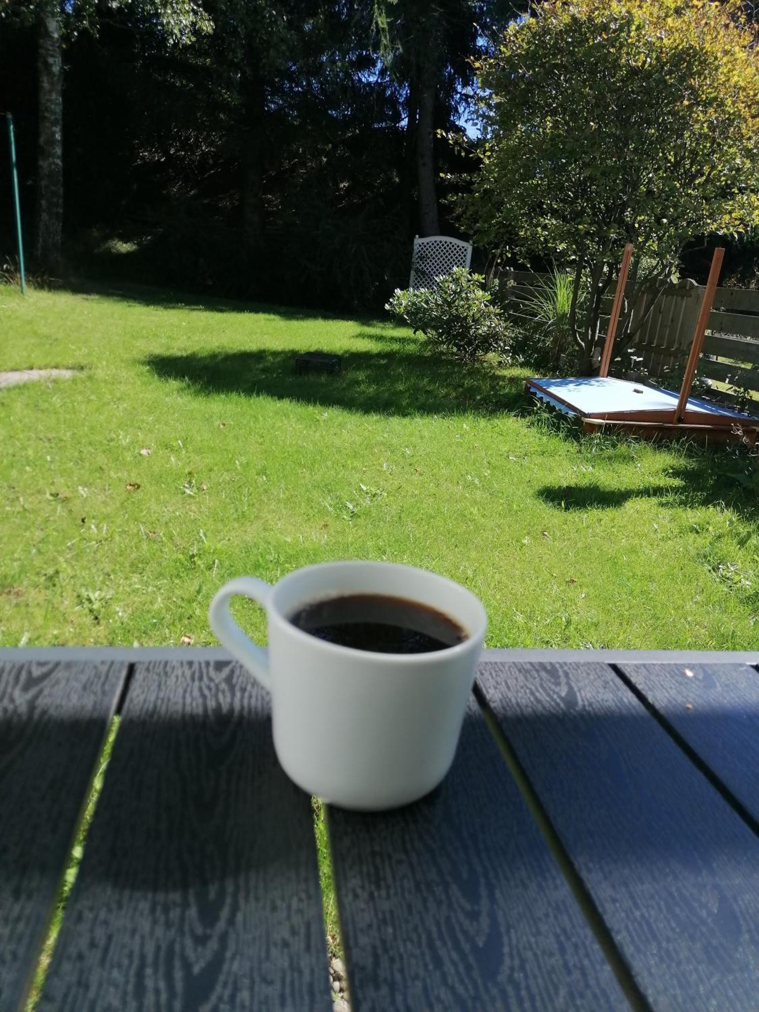 Ferienhaus Hoher Weg - Urlaub, Wandern, Downhill Und Workation Am Nationalpark Harz